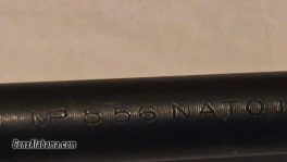 1000022080