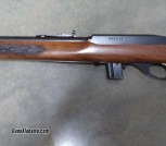 .22 rifle