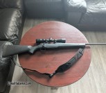 Mossberg 308