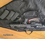 Springfield Hellion 5.56