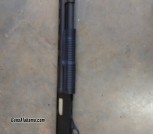 12 ga shotgun