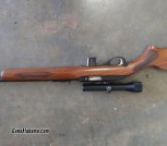 .22 rifle
