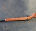 .410 shotgun