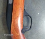 .22 rifle