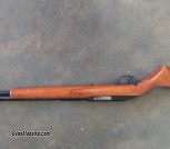 .22 rifle